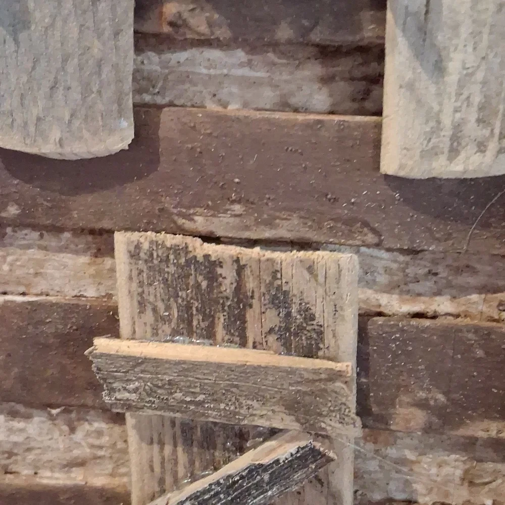 Primitive Grungy Cabin - Picture 2 of 4